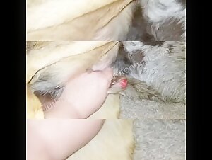 Chubby woman and her canine lover