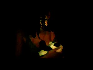 Coco ArtofZoo: Woman Breastfeeding a Panda - Homemade Beastiality Videos