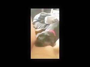 Compilation of Dog Licking Girls' Intimacy