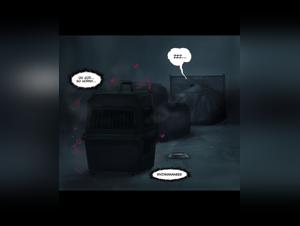 Conjugal disillusionment: animal sex and submission