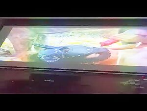 Couple masturbates to bestiality videos