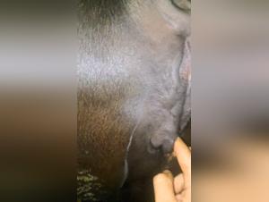 Cow Pussy Domination: Ultimate Training