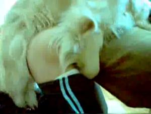 Crazy Horse 7: Fetish Debauchery with Woman and Dog