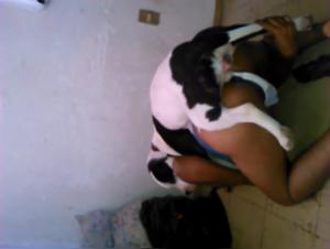 Crazy Kitchen: Hardcore Animal Sex