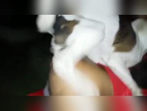 Crazy transvestite anal bestial submission