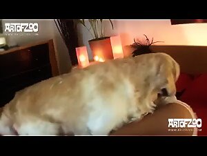 Crazy Zoophile and Seized by Beastiegals: An Erotic Night of Beast Hunting