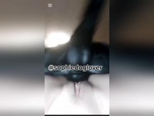 Cross Borders: Animal Obsessions and Insatiable Desire