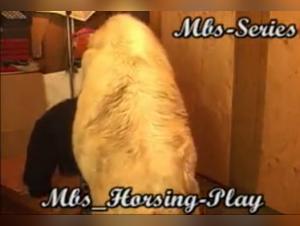 Crowds and Equestrian Frolics: The Dominion of Mistress MBS