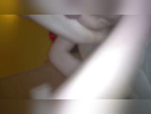 Cruel Delights: Animal Debauchery at its Paroxysm