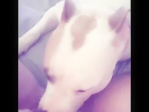 Cum boy: A bestial and intense encounter