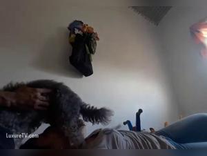 Cum Dog: animal sex crowd