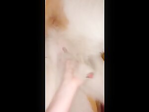 Curious teenager discovers sex with a dog