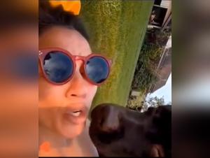 Damn licking her dog, animal desire