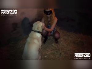 Dark Unveilings: Erotic Canine Ecstasy