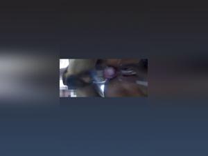 Decadent Delights: Wild Kisses with Dogs