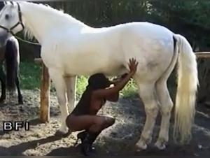 Deep Animal Fuck: The Hell of Forbidden Desires