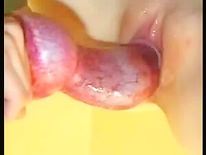 Deep Dog Cock - A female dog submissive to a dog