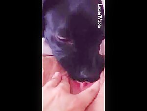 Deep Lick 1: Intimate Moment with a Dog
