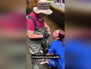 Delicacy perverted: fish sperm and animal enjoyment