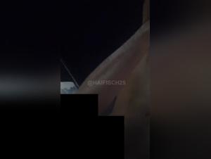 Delices Bruts: Canine Fuck in French Street