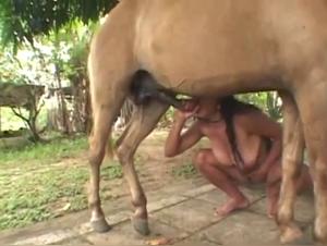 Delices Bruts: Women and Horses in an Extravagant Passion