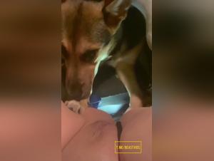 Delices Sauvages: Licking Animal - Hardcore Porn Videos