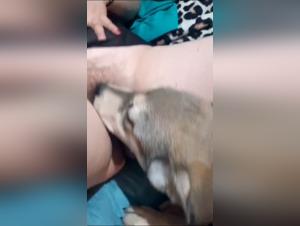 Delights prohibited: dog and woman