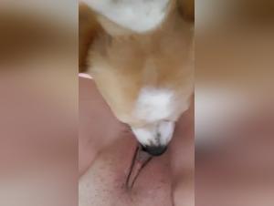 Demonic Delights: Canine Obsession and Hardcore Fucking