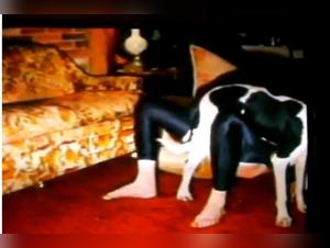 Demonic: Dominant Dog, Submissive Teen