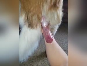 Demonic nodes submissive