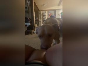 Denise Frazier: Homemade animal kisses and wild ecstasies