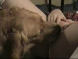 Desire animal: wild fucks and canine lust