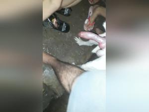 Device animals: brutal and sensual blowjobs