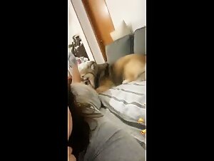 Dirty Dog: Bestiality videos to satisfy your fantasies