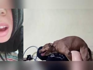 Disfigured Borders: Female Obsession and Bestialism