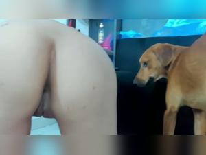 Disgusting first time: dominant dog