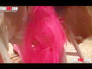 Dive into the world of bestiality - Part 2