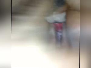 Dog adult, insatiable desire