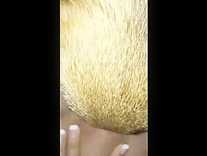 Dog and Human: A Forbidden Meeting