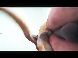 Dog and Man: An Intense Encounter