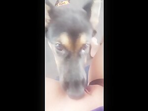 Dog and mature woman: a beastly encounter