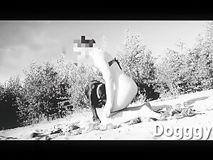 Dog and mistress have fun at the beach