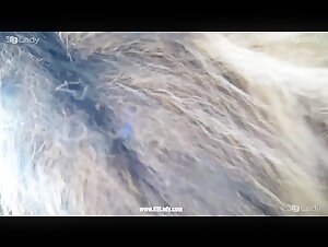 Dog and pig for Ariel