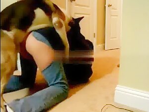 Dog and woman: a beastly love story