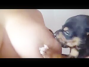 Dog and Woman: A Forbidden Love Story