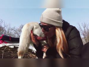 Dog BJ: The prohibited pleasures revealed