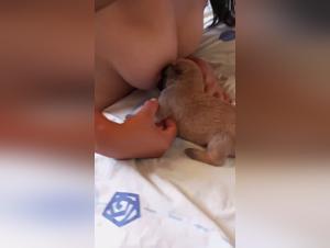 Dog blowjob with slut