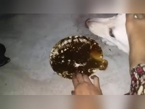 Dog & Feet 2: The Diabolical Obsession Reveals