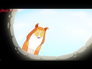 Dog helps man stuck in well