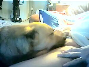 Dog licks a mature woman